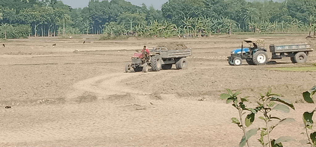 kalogonj 2