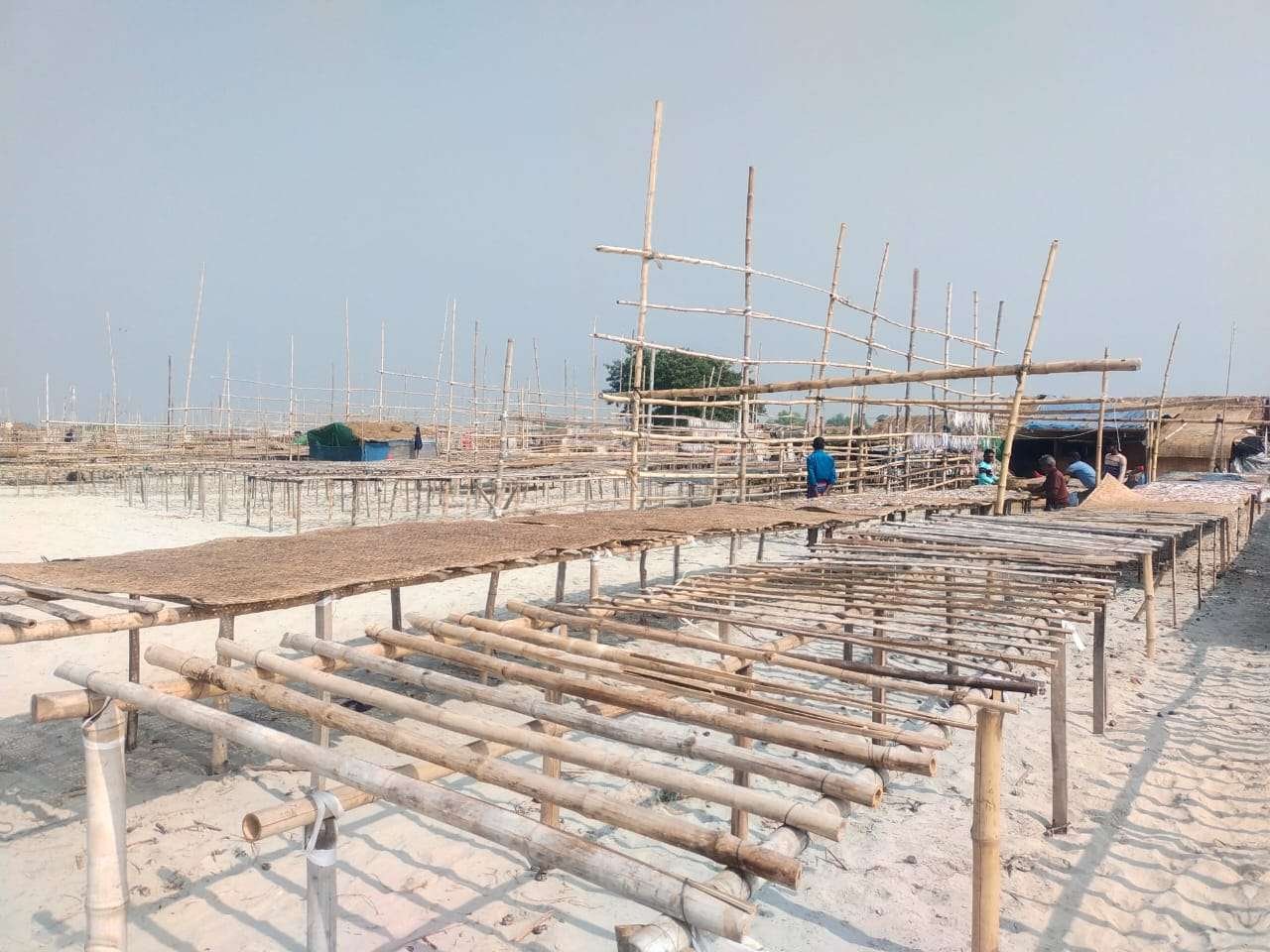 সুন্দরবনের দুবলা শুঁটকি পল্লীতে মাছের অভাবে খাঁখাঁ করছে মাছ শুকানোর মাচা। দুবলারচর থেকে বৃহস্পতিবার দুপুরে তোলা -ছবি :বাংলা টাইমস