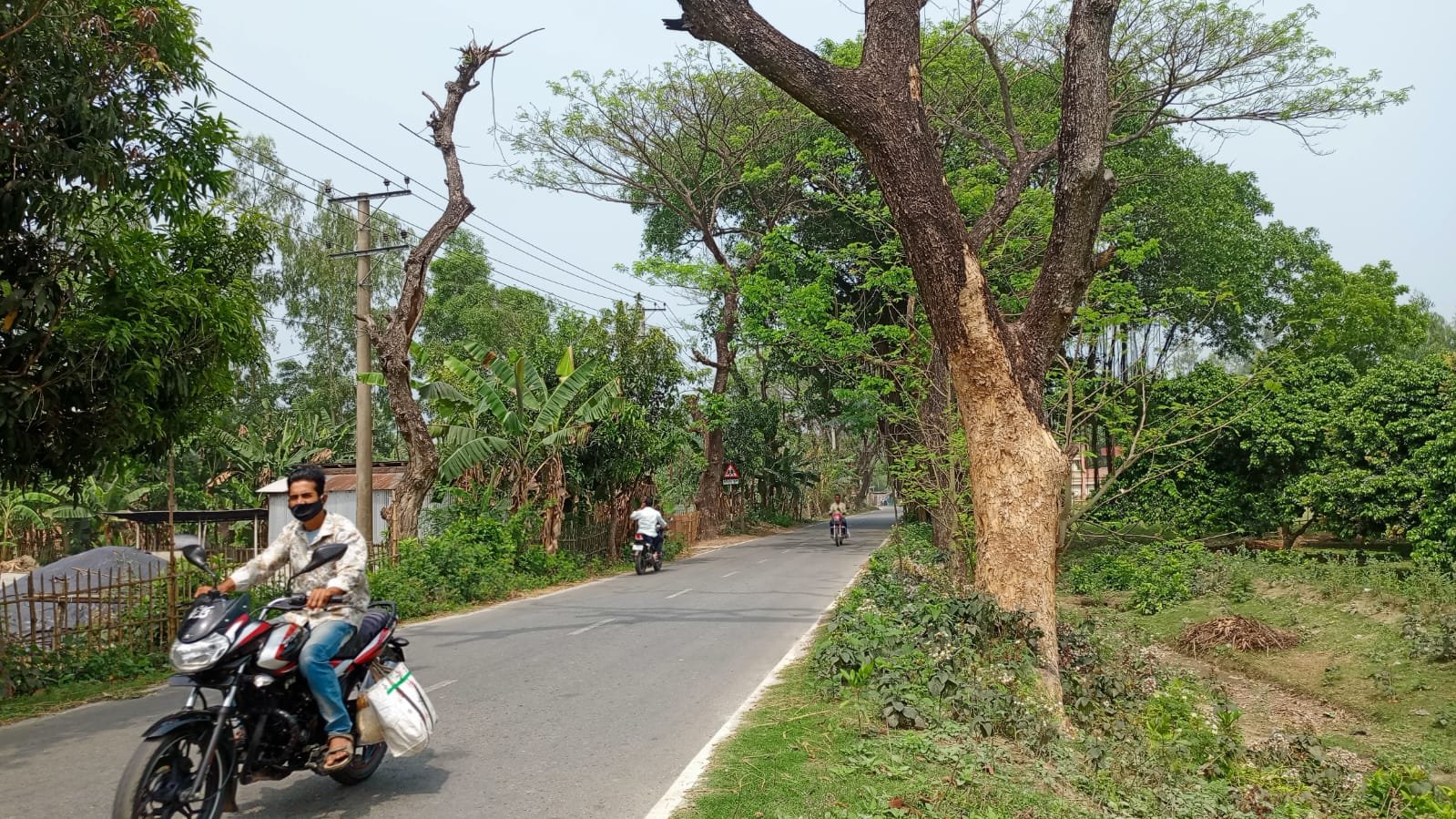 দিনাজপুরের ফুলবাড়ী উপজেলায় সড়কের দু’পাশে পড়ে থাকা মরা ও ঝুঁকিপূর্ণ গাছ এখন পথচারীদের জন্য বড় ধরনের বিপদের কারণ